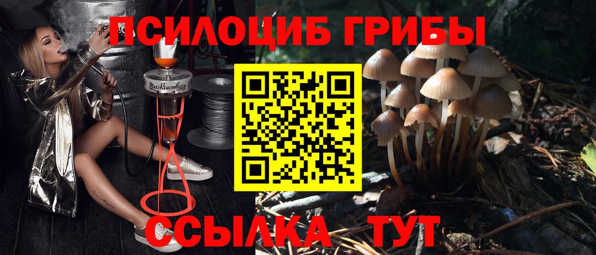 Галлюциногенные грибы GOLDEN TEACHER  как найти закладки  Ангарск  Вход с VPN  Псилоцибиновые грибы ЛСД 